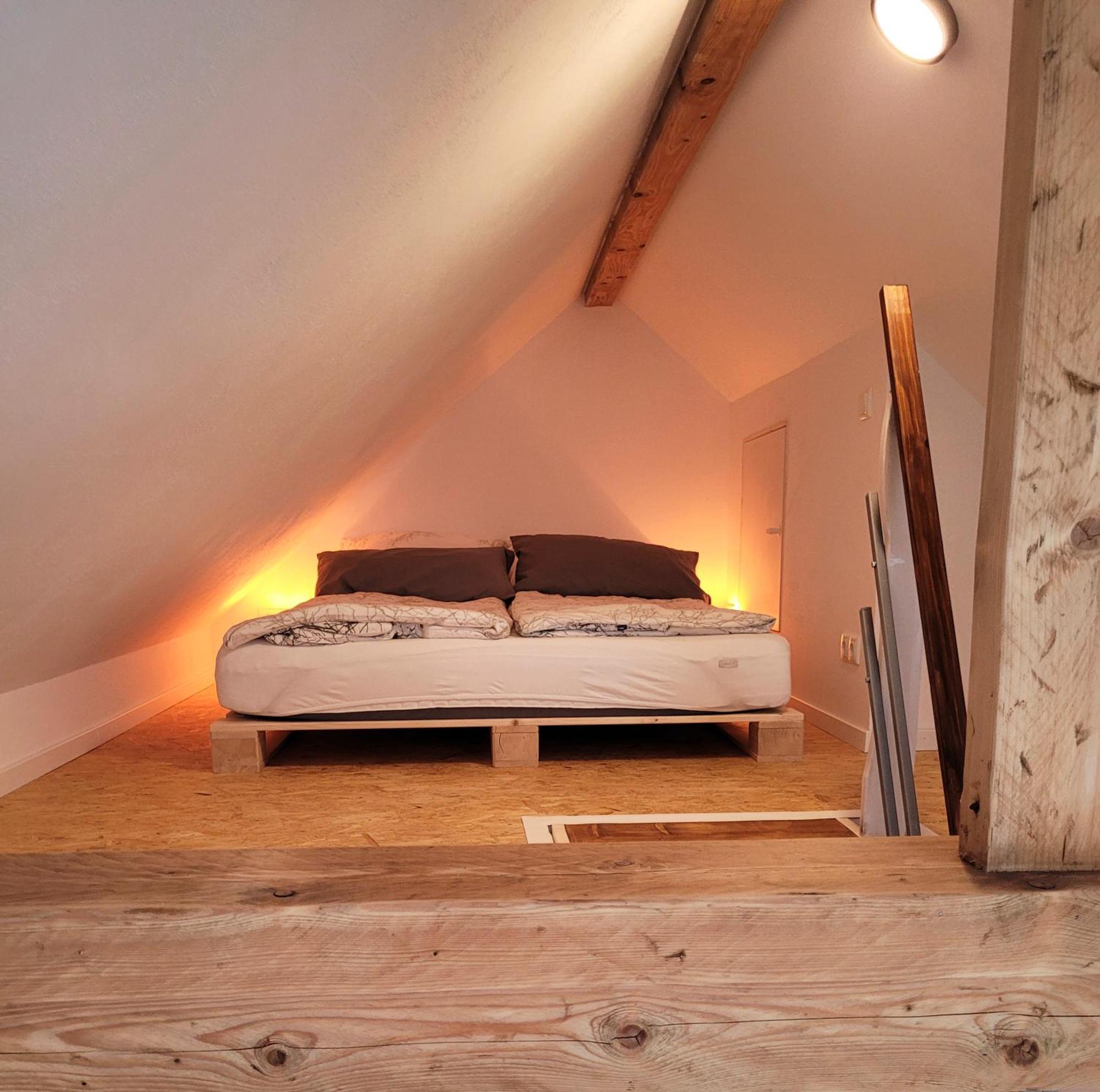 Modernes 1-Zimmer-Apartment Mit Galerie-Schlafkoje Im Skandinavischen Stil Ostenfeld  Eksteriør billede